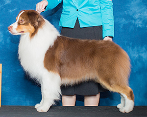 CopperRidge's That's Gonna Leave A Memory