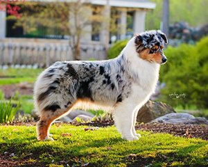 Empyrean's On A Lark At CopperRidge