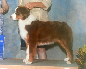 CopperRidge's Heard A Rumor