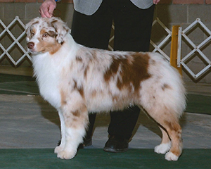 CopperRidge's Caught Off Guard at Empyrean