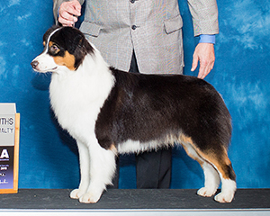 Empyrean's Six Alarm Sexy at CopperRidge